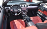 vehicle image #18