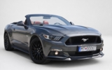 vehicle image #1