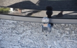vehicle image #23