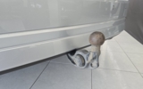 vehicle image #21