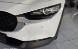 vehicle image #11