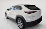 vehicle image #6