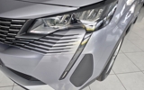 vehicle image #12