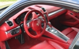 vehicle image #17