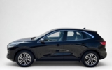 vehicle image #14