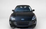 vehicle image #6