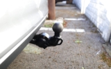 vehicle image #48