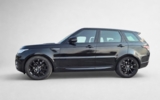 vehicle image #5