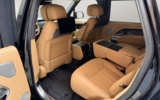 vehicle image #7