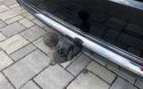 vehicle image #36