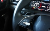 vehicle image #21