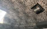 vehicle image #14