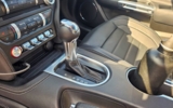 vehicle image #21