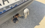 vehicle image #30