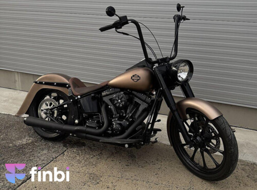 HARLEY DAVIDSON - Softail Chicano Style - SK ŠPZ