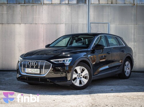 Audi E-tron 55 quattro Basis