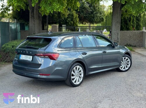 Škoda Octavia Combi Benzin + PHEV