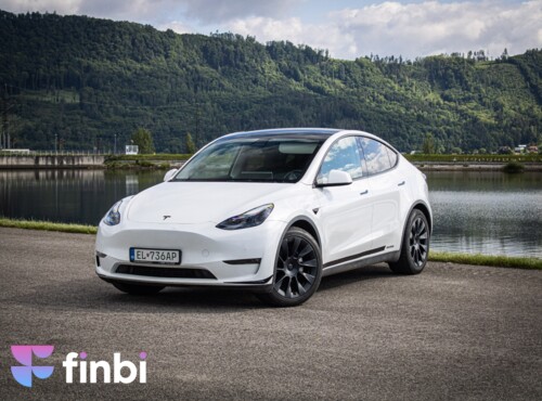 Tesla Model Y Long Range Ryzen, R20, SOH 92%, nelakované, Matrix, 4x dvojité sklá, DPH