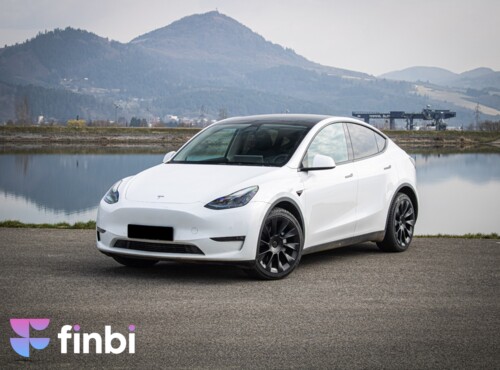 Tesla Model Y Long Range Ryzen, R20, SOH 92%, nelakované, Matrix, 4x dvojité sklá, DPH