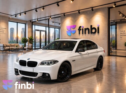 BMW Rad 5 530d xDrive