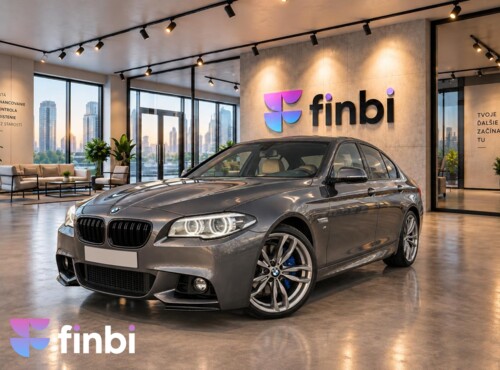 BMW Rad 5 530d xDrive