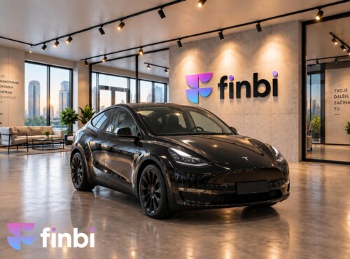 Tesla Model Y PERFORMANCE DUAL MOTOR AWD